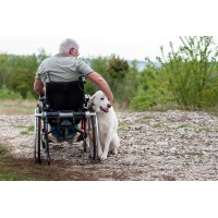 Light Assist Carer Controlled Wheelchair Power Assist