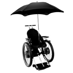 Optional Umbrella Mounting System feature image