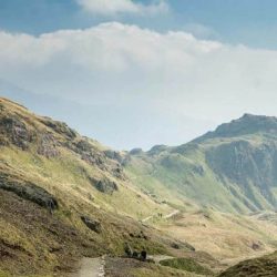 Mountainous terrain trails.